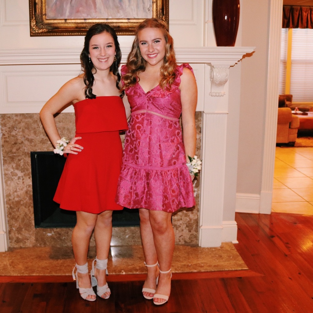 Pink Rebecca Taylor Dress
